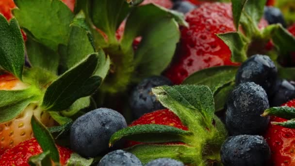 Frutas Morango Mirtilo Vista Perto Foco Seletivo — Vídeo de Stock