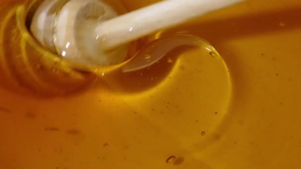 Honing Druipend Van Honingdipper Witte Achtergrond Gele Toon — Stockvideo