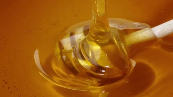 Honig Tropft Vom Honigwagen Auf Weißem Hintergrund Gelbton — Stockvideo