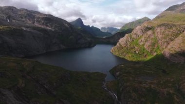 Bir tepenin üzerindeki ağaçların üzerinden hava manzarası okyanusu ve dik dağ zirvelerini gözler önüne seriyor, Lofoten, Norveç 'te - pan, drone atışı
