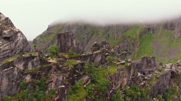 Vista Aérea Cerca Musgoso Verde Muro Montaña Revelando Costa Rocosa — Vídeos de Stock