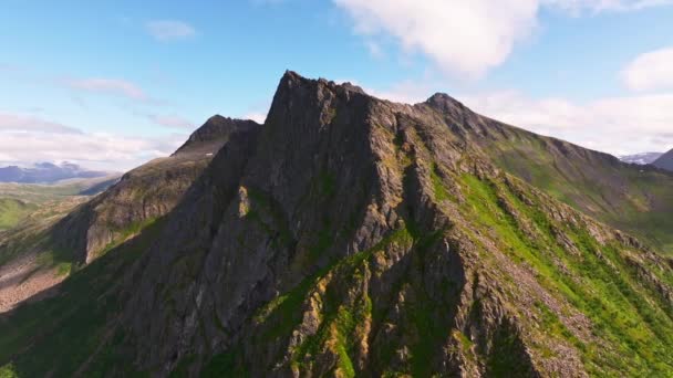 背景にノルウェーの海と雄大な緑の岩のフィヨルドの美しいパノラマビュー ロフテン諸島 — ストック動画