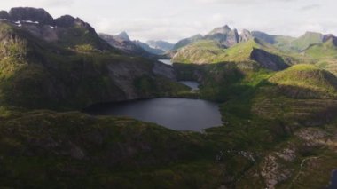 Bir tepenin üzerindeki ağaçların üzerinden hava manzarası okyanusu ve dik dağ zirvelerini gözler önüne seriyor, Lofoten, Norveç 'te - pan, drone atışı
