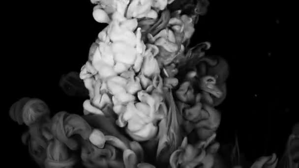 Assistez Mélange Peinture Blanche Noire Dans Eau Contre Blanc Ralenti — Video