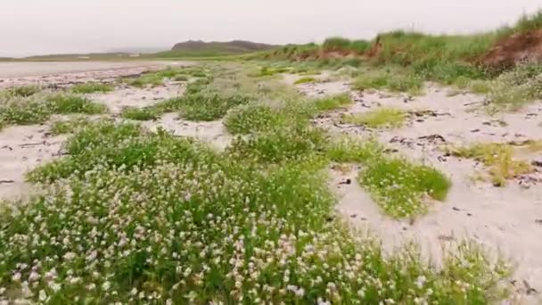 Fale Powoli Myjące Piaszczystą Plażę Zwaną Haukland Bardzo Spokojna Atmosfera — Wideo stockowe