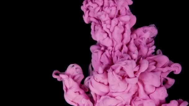 粉色颜料滴在浅白底色的水中 抽象的色彩混合 墨水滴在水面上 慢动作 — 图库视频影像