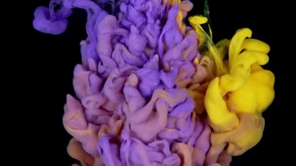 색깔의 아크릴 페인트는 노란색 파란색의 아름다운 추상적 배경인 의물에 녹는다 — 비디오