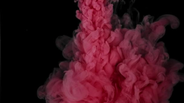 Kleur Roze Verf Druppels Water Met Licht Witte Achtergrond Abstracte — Stockvideo