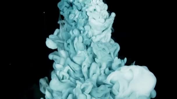 Синьо Білі Косметичні Інгредієнти Витончено Поєднуються Макрознімок Чорній Поверхні — стокове відео