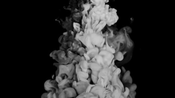 Schwarze Und Weiße Tinte Flüssig Unter Wasser Auf Schwarzem Hintergrund — Stockvideo