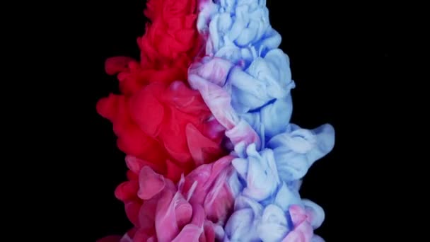 Движение Капель Акриловой Краски Формирует Яркий Фон Текстуры Фиолетовый Синий — стоковое видео