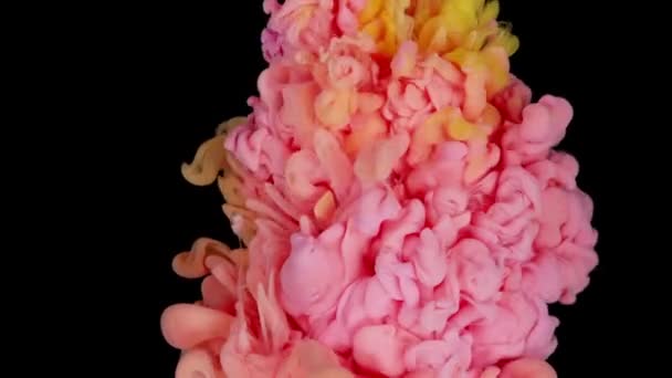 Colorful Ink Paint Top View Blending Water Slow Motion Ink — Stock Video
