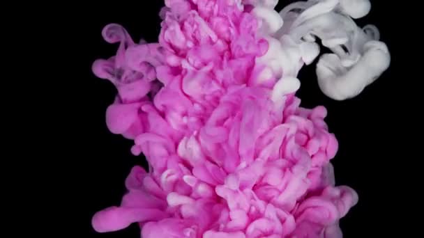 粉色和白色的丙烯酸油墨在黑色红色背景的水中混合 摘要彩色背景 — 图库视频影像