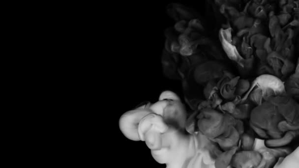 Assistez Mélange Peinture Blanche Noire Dans Eau Contre Blanc Ralenti — Video