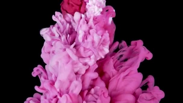 粉色颜料滴在浅白底色的水中 抽象的色彩混合 墨水滴在水面上 慢动作 — 图库视频影像