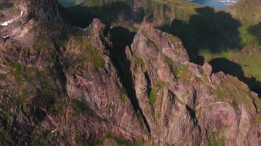 Bir tepenin üzerindeki ağaçların üzerinden hava manzarası okyanusu ve dik dağ zirvelerini gözler önüne seriyor, Lofoten, Norveç 'te - pan, drone atışı