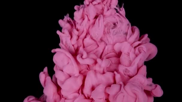Color Gotas Pintura Rosa Agua Con Fondo Blanco Claro Mezcla — Vídeos de Stock