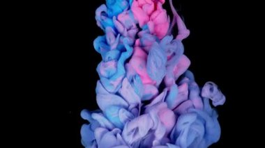 Renklerin sihirli karışımı. Siyah arka planda izole edilmiş suda ipeksi mürekkep bulutu. Suda renkli mürekkep, mürekkep damlası. Mor, mavi, pembe.