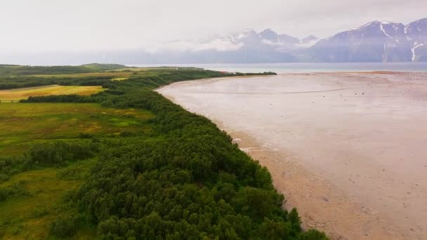 Movimento Aéreo Praia Areia Desolada Para Água Mar Azul Contra — Vídeo de Stock