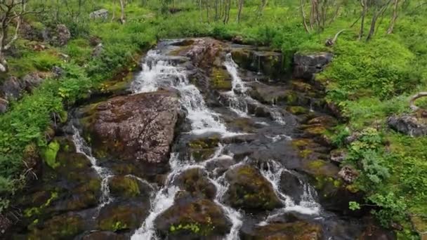 靠近一堵苔藓色的绿色山墙的空中景观 暴露了挪威罗浮敦群岛的岩石海岸线 平底锅 无人驾驶飞机射击 — 图库视频影像