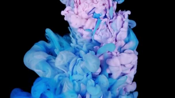 Żywe Kolorowe Fioletowy Różowy Niebieski Farba Akrylowa Spadek Ruchu Tekstura — Wideo stockowe