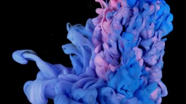 Colorful Ink Paint Top View Blending Water Slow Motion Ink — Stock Video