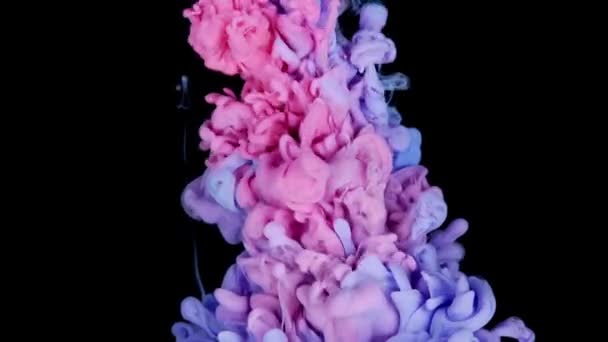 Bunte Tuschmalerei Von Oben Die Zeitlupe Wasser Verschmilzt Tinte Flüssigkeit — Stockvideo