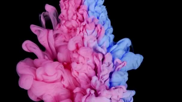 Bunte Tuschmalerei Von Oben Die Zeitlupe Wasser Verschmilzt Tinte Flüssigkeit — Stockvideo