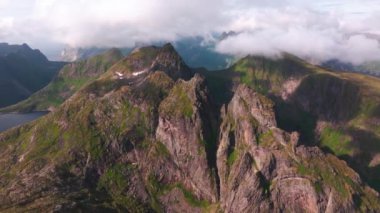Bir tepenin üzerindeki ağaçların üzerinden hava manzarası okyanusu ve dik dağ zirvelerini gözler önüne seriyor, Lofoten, Norveç 'te - pan, drone atışı