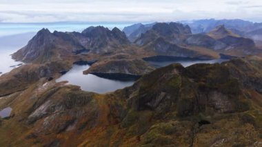 Bir tepenin üzerindeki ağaçların üzerinden hava manzarası okyanusu ve dik dağ zirvelerini gözler önüne seriyor, Lofoten, Norveç 'te - pan, drone atışı