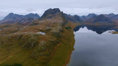 Bir tepenin üzerindeki ağaçların üzerinden hava manzarası okyanusu ve dik dağ zirvelerini gözler önüne seriyor, Lofoten, Norveç 'te - pan, drone atışı