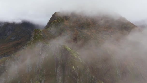 Vista Aérea Árvores Encosta Revelando Oceano Picos Íngremes Lofoten Noruega — Vídeo de Stock