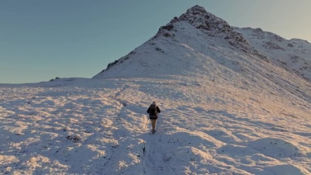 Sırt Çantalı Bir Yürüyüşçü Dağın Tepesine Tırmanıyor Dağcılık Konsepti Karda — Stok video