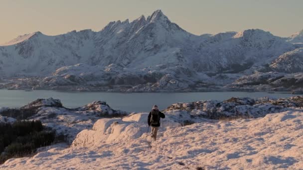 Wanderer Mit Rucksack Auf Den Gipfel Des Berges Bergsteigerkonzept Mann — Stockvideo