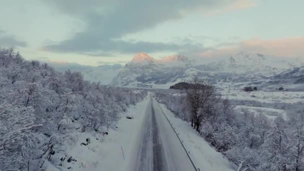 ノルウェーの冬の楽園での車の運転の空中 雪と木に囲まれて — ストック動画