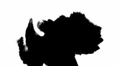 Mürekkep arkaplanı. Gerçeküstü evren. Siyah simli sıvı, beyaz üzerine kopya alanı yayıyor..