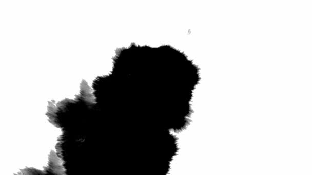 Fondo Grunge Tinta Universo Surrealista Salpicadura Líquido Purpurina Negra Con — Vídeo de stock