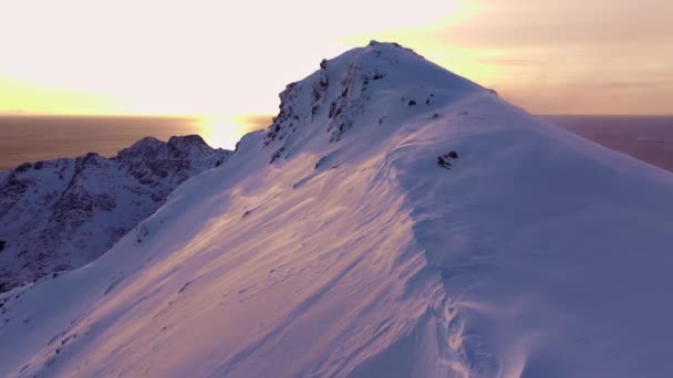 Vista Aérea Los Fiordos Lofoten Noruega Cubiertos Nieve Invierno Metraje De Stock Sin Royalties Gratis