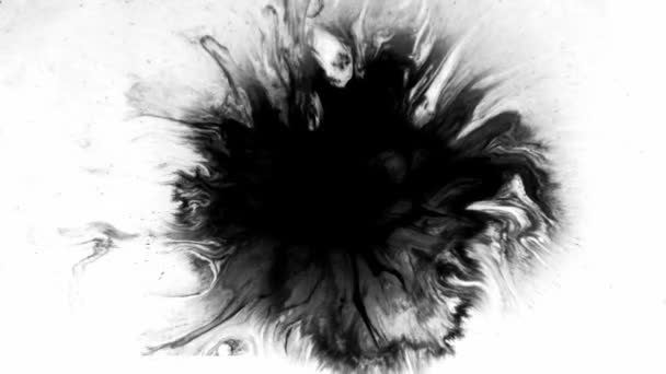 Encre Fond Grunge Univers Surréaliste Éclaboussure Liquide Paillettes Noires Avec Vidéo De Stock
