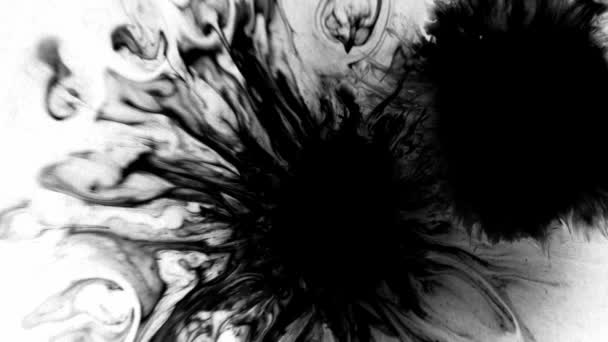 墨水磨擦的背景 超现实的宇宙发亮的黑色液体飞溅 在白色上散布复制空间 免版税图库视频