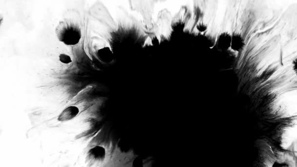 墨水磨擦的背景 超现实的宇宙发亮的黑色液体飞溅 在白色上散布复制空间 视频剪辑