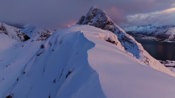 Veduta Aerea Dei Fiordi Del Lofoten Norvegia Coperta Neve Inverno — Video Stock