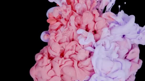 Bläckfärg Övergång Avslöja Effekt Neon Rosa Blå Vätska Stänk Pulserande — Stockvideo