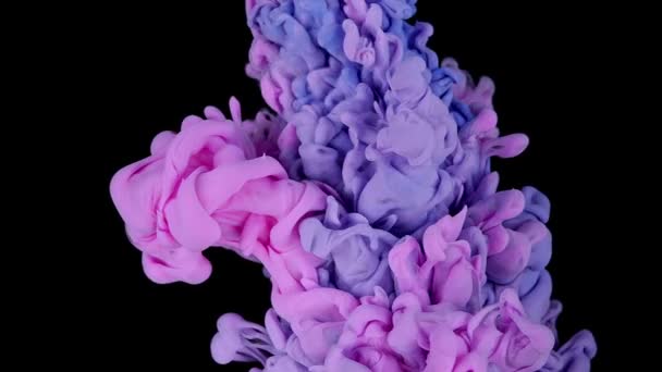Bläckfärg Övergång Avslöja Effekt Neon Rosa Blå Vätska Stänk Pulserande — Stockvideo