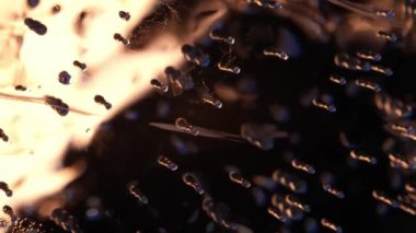 Renkli ateş ışığında buz küpü. soyut duvar kağıdı