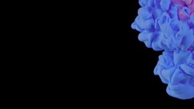 Canlı Renk Bulutu: Suda Kırmızı ve Mavi Boya Damlaları Siyah Üzerinde Soyut Karışım Oluşturuyor