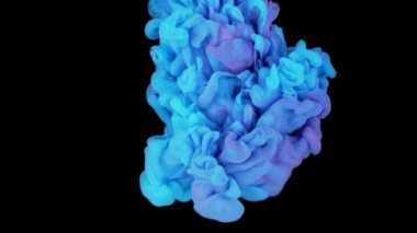 Renklerin sihirli karışımı. Siyah arka planda izole edilmiş suda ipeksi mürekkep bulutu. Suda renkli mürekkep, mürekkep damlası. Mor, mavi, pembe.