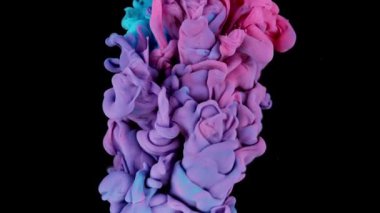 Renklerin sihirli karışımı. Siyah arka planda izole edilmiş suda ipeksi mürekkep bulutu. Suda renkli mürekkep, mürekkep damlası. Mor, mavi, pembe.