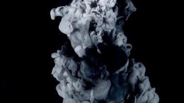 Beyaz ve siyah boyanın yavaş çekimde beyaz arka plana çarptığını ve renkli mürekkebin bulut gibi dağıldığını izleyin..