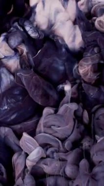 Suda renkli sıvı duman, hareketli video arka plan, güzel renk çözünürlüğü ve yavaşça hareket etme, renk karışımı, sıvı mermer dokusu, lüks renkli mürekkep akışı. Yüksek kalite 4k görüntü